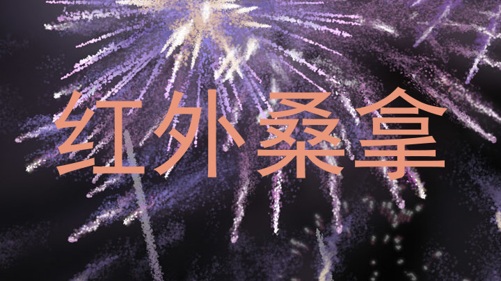 红外桑拿