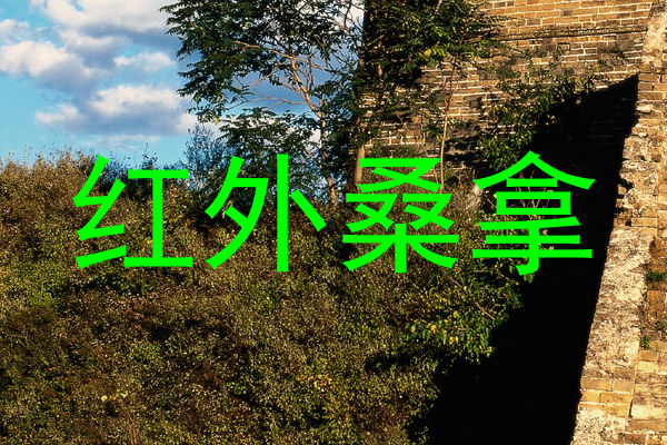 红外桑拿