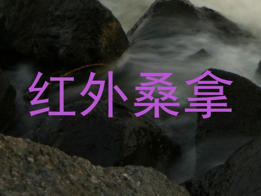 红外桑拿