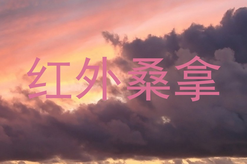 红外桑拿