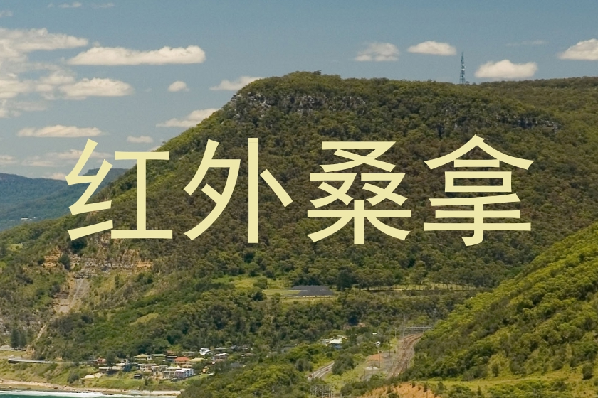 红外桑拿