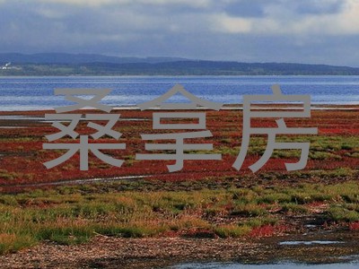 桑拿房
