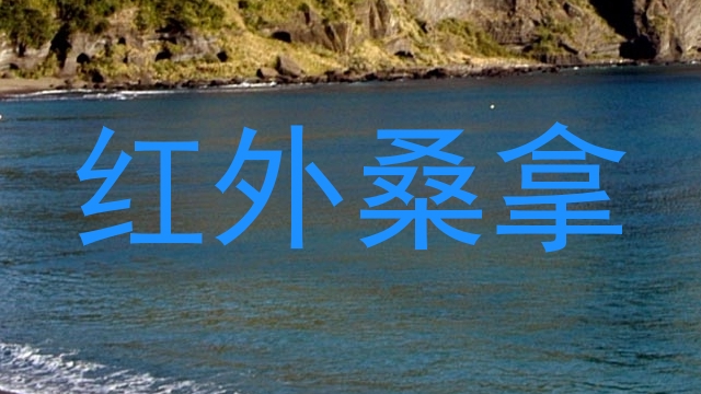 红外桑拿