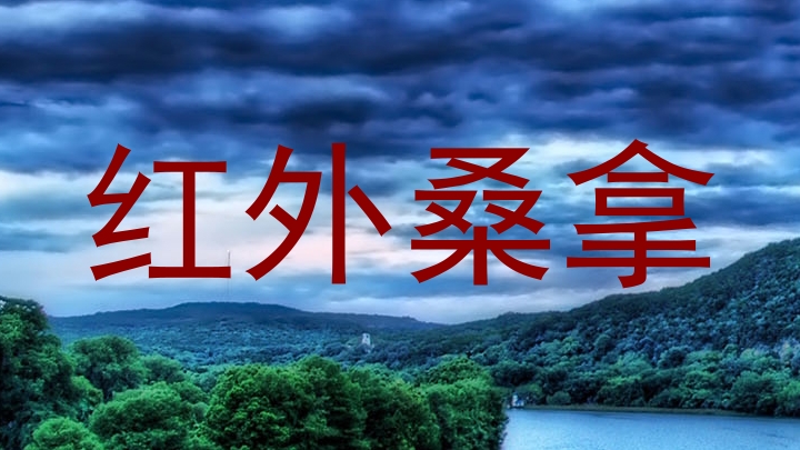 红外桑拿