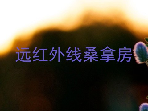 远红外线桑拿房