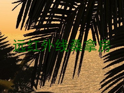 远红外线桑拿房