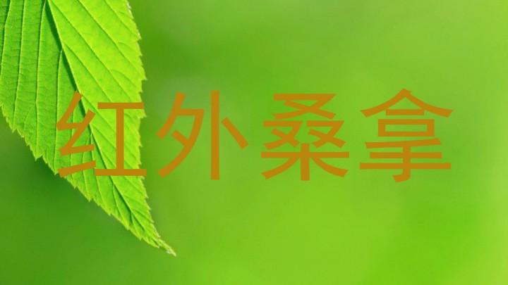 红外桑拿
