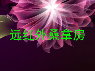 远红外桑拿房