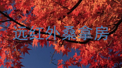 远红外桑拿房