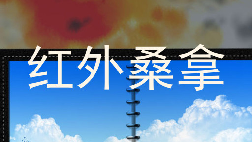 红外桑拿