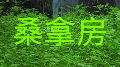 桑拿房