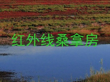 红外线桑拿房