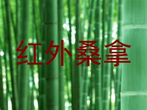 红外桑拿
