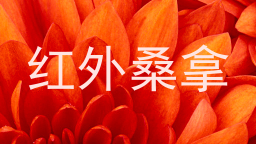 红外桑拿