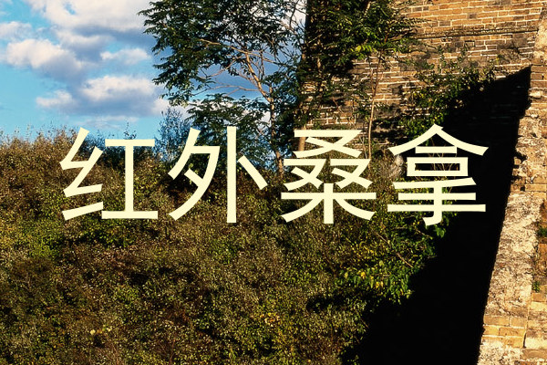 红外桑拿