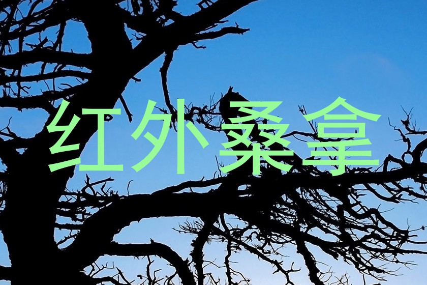 红外桑拿