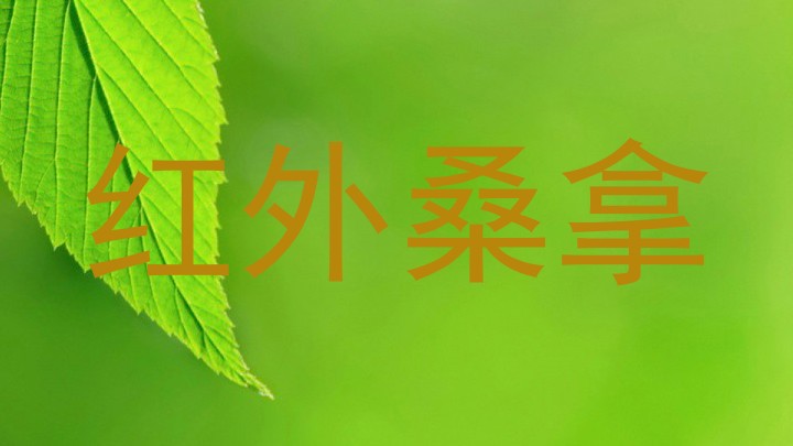 红外桑拿
