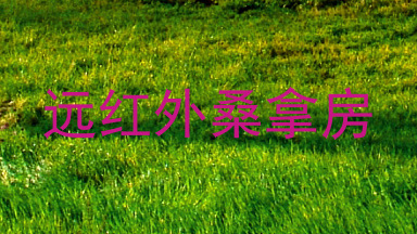 远红外桑拿房