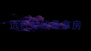远红外线桑拿房