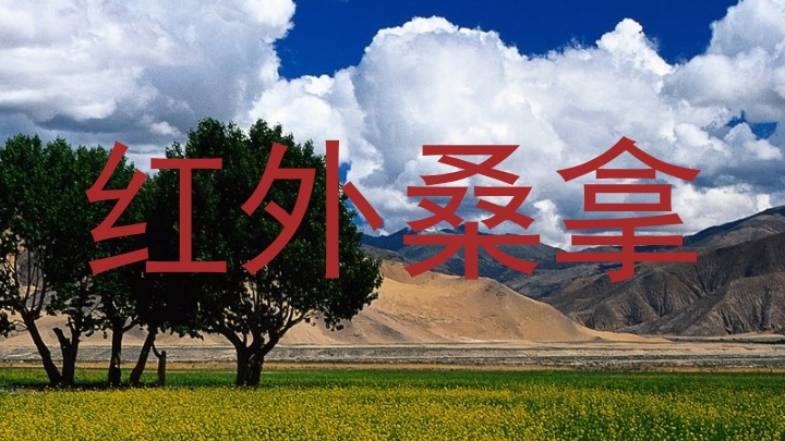 红外桑拿
