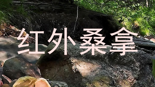 红外桑拿