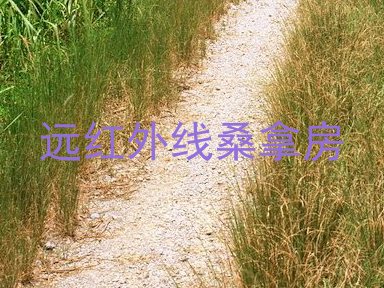 远红外线桑拿房