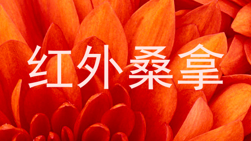 红外桑拿