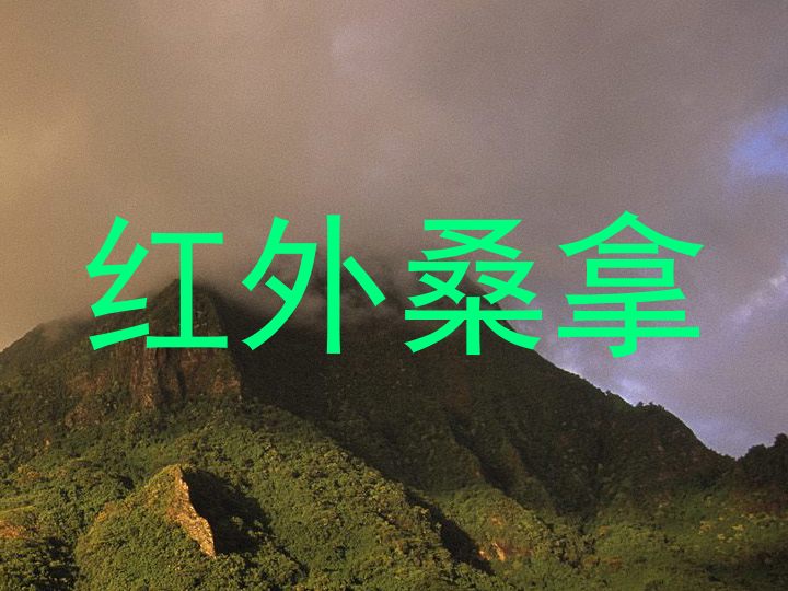 红外桑拿