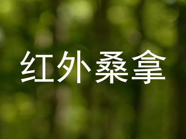 红外桑拿