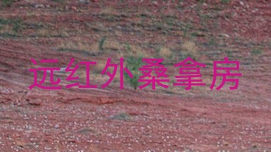 远红外桑拿房