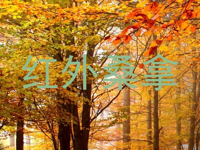 红外桑拿