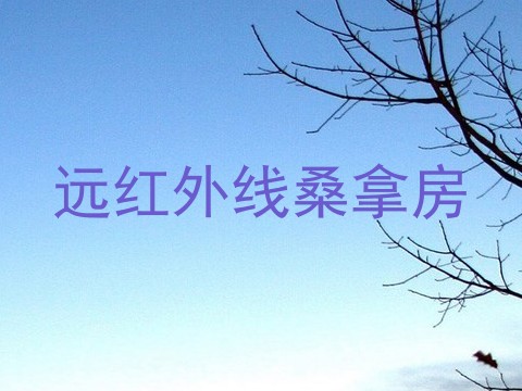 远红外线桑拿房