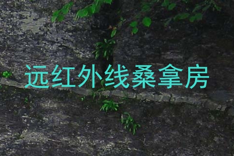 远红外线桑拿房