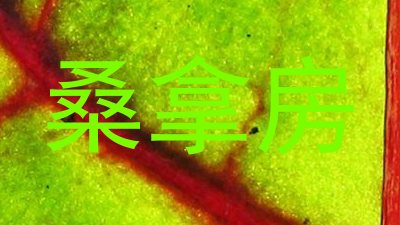 桑拿房