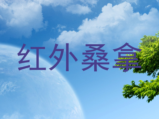 红外桑拿