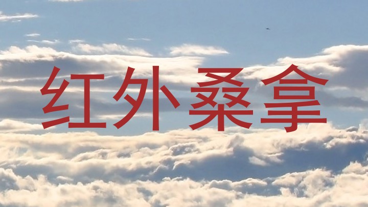 红外桑拿