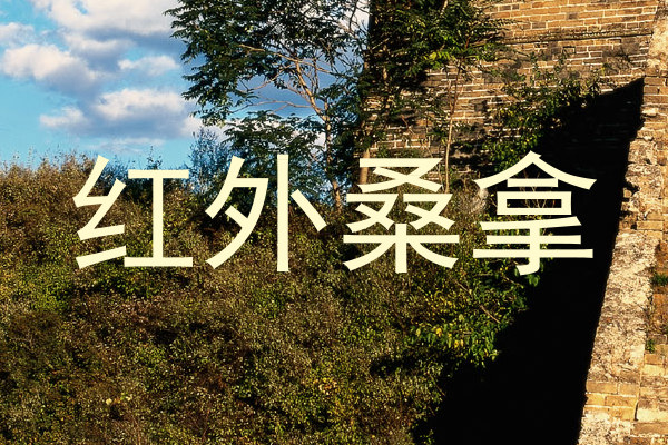 红外桑拿