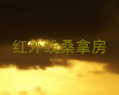 红外线桑拿房
