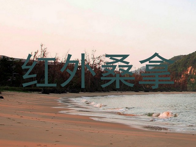 红外桑拿