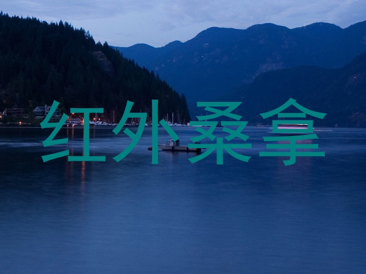 红外桑拿
