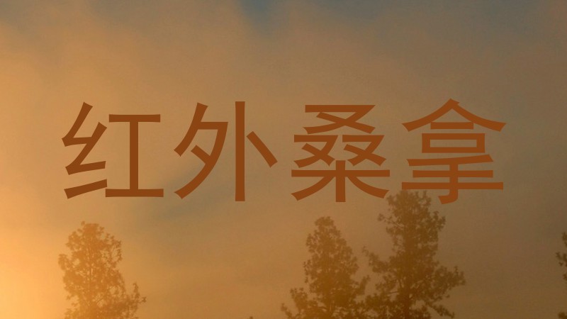 红外桑拿