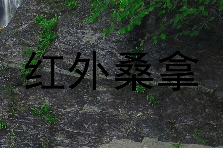 红外桑拿