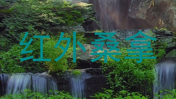 红外桑拿