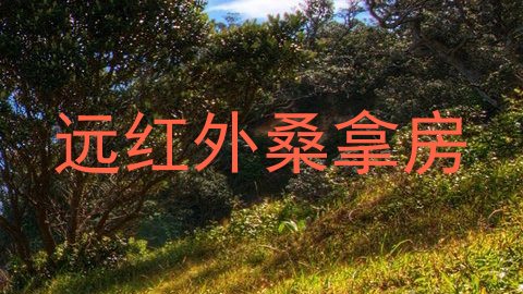 远红外桑拿房