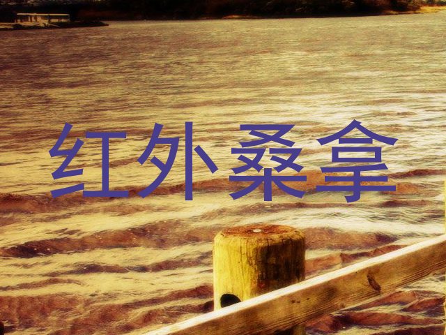 红外桑拿
