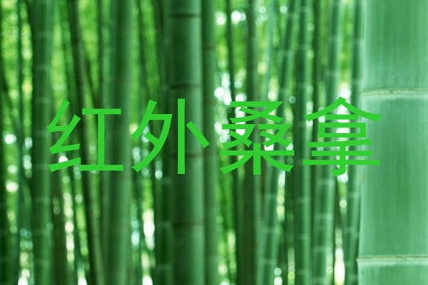 红外桑拿