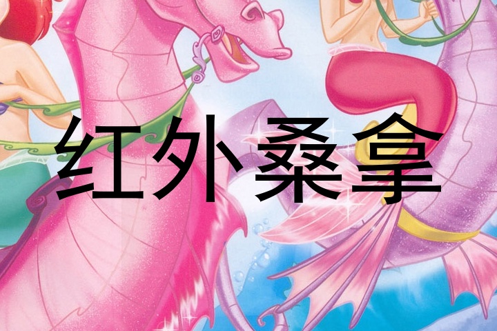 红外桑拿