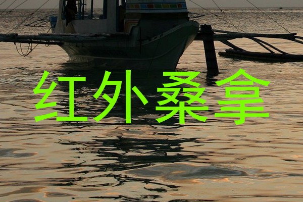 红外桑拿