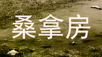 桑拿房