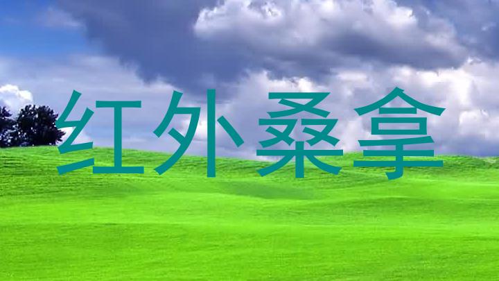 红外桑拿